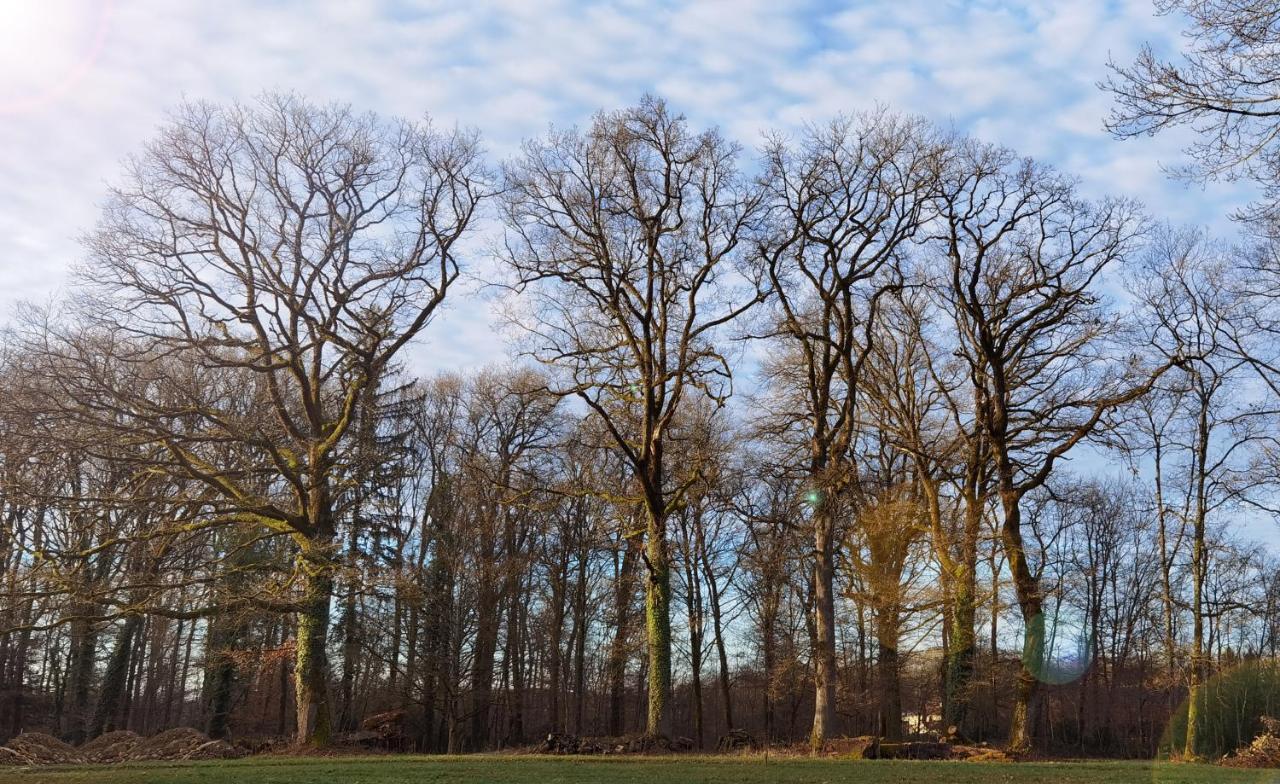 Aux Domaines D'Automne Lägenhet Peronnas Exteriör bild