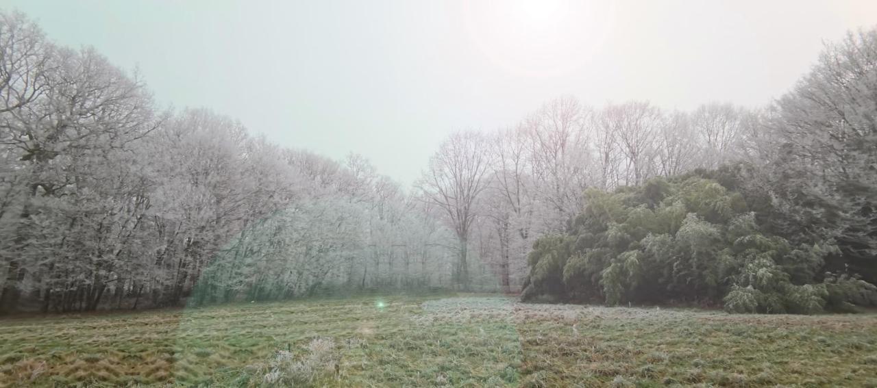 Aux Domaines D'Automne Lägenhet Peronnas Exteriör bild